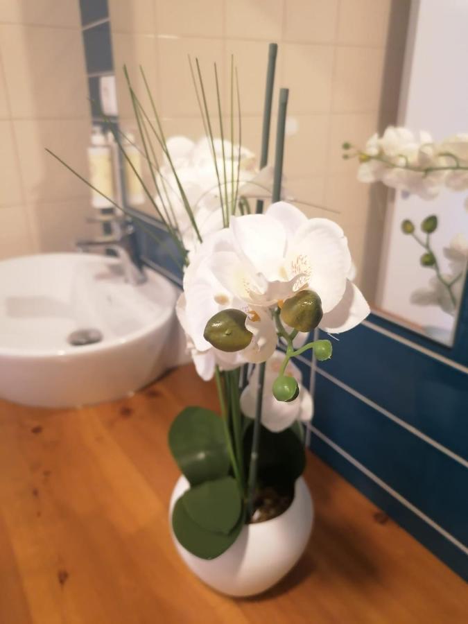 Apartamento Graciosa - Sta Catarina Place Ponta Delgada  Bagian luar foto